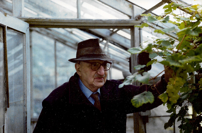 Screenshot 2024-11-15 at 12.27.40